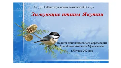 Птица у сакрального озера Сайсары (Якутск) — Фото №53693