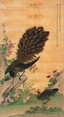 Птицы японского Parus синицы небольшие милые Таиланда Стоковое Изображение  - изображение насчитывающей ангстрома, головка: 88573587