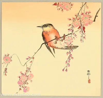 Купить 1981 Япония Марка (Международная неделя письма, птицы) Гашеная №1487