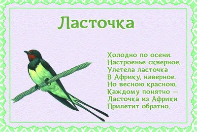 Птицы ярославской области - 78 фото