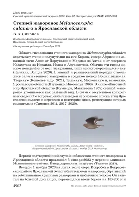 Лесные птицы ярославской области - 64 фото