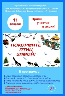 Около 45 видов птиц останутся на зимовку в Томской области | ОБЩЕСТВО | АиФ  Томск