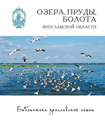 Кормление птиц, уток в городе: зоолог Елена Анашкина объяснила, почему в  Парке нефтяников в Ярославле опасно устанавливать кормушку для уток - 21  июля 2023 - 76.ru