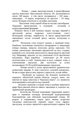 В Ярославской области открывается охота с подружейными собаками –  Коммерсантъ Ярославль