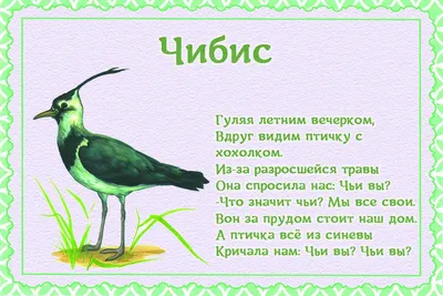 Перелетные Птицы Ярославской Области Фото С Названиями - 66 фото