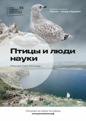 Около 45 видов птиц останутся на зимовку в Томской области | ОБЩЕСТВО | АиФ  Томск