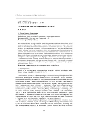 Зимующие птицы села Капсал Иркутской области