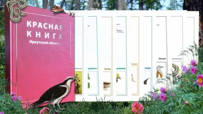 Литературно-экологический утренник «Как зимуют птицы» — Иркутская областная  детская библиотека имени Марка Сергеева