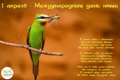 В Сочи прошла презентация уникальной монографии «Птицы Южной России» |  11.10.2023 | Сочи - БезФормата