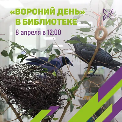 В Югре через три недели откроется весенняя охота на птиц - Новостной портал  UGRA-NEWS.RU