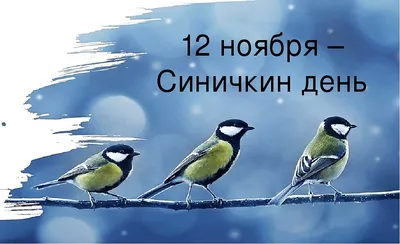 В Международный день защиты детей чествуем птичку-невеличку Трясогузку |  Этнографический музей под открытым небом «Торум Маа»