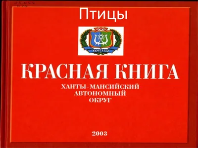 Музей «Торум Маа» проведёт «Праздник Трясогузки» - КТЦ \"Югра-Классик\"