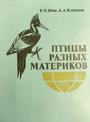 Администрация Шуйского муниципального района | Птицы – наши друзья