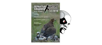 зонтик Российская зима 2023-2024's Journal · iNaturalist