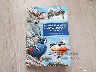 Издан новый справочник о птицах Камчатки и Командорских островов