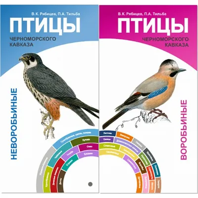 Птицы Черноморского Кавказа. Воробьиные и неворобьиные. Веер-определитель.  Рябицев В., Тильба П. цена, купить Птицы Черноморского Кавказа. Воробьиные  и неворобьиные. Веер-определитель. Рябицев В., Тильба П. в Минске недорого  в интернет магазине Сима Минск