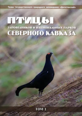 Птицы Северного Кавказа