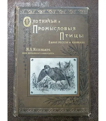 Русский: Кавказский улар, Мензбир М.А. Охотничьи и промысловыя птицы  Европейской России и Кавказа. 2 тома и атлас. М., типо-литография Т-ва И.  Н. Кушнерев и Ко., 1900-1902. 1902. Martinov A.N. 517 Tetraogallus