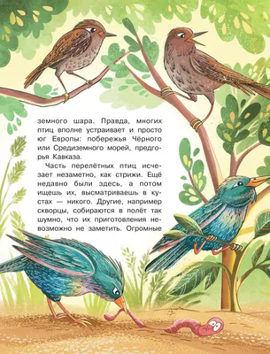 Хищные птицы северного кавказа - 72 фото