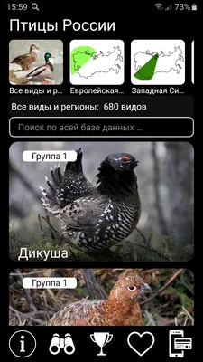 Птицы России PRO – скачать приложение для Android – Каталог RuStore
