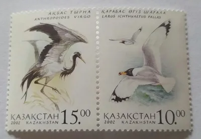 Карточки. Филин выбран птицей 2017 года в Казахстане – ЛИВЕНЬ
