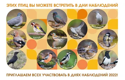 Новый список краснокнижных животных принят в России - Российская газета