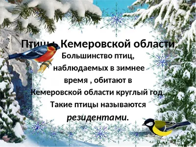 Пока одни птицы спешат покинуть нас, другие пернатые прилетают на зимовку в  Кузбасс из тайги и тундры