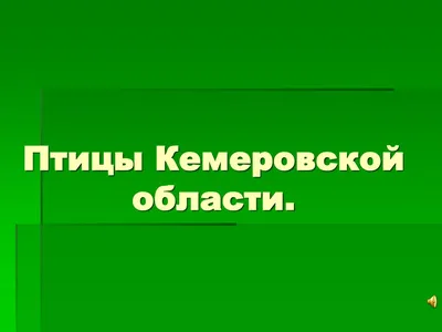 Активисты просят кемеровчан не подбирать птенцов «из жалости» - Агентство  социальной информации