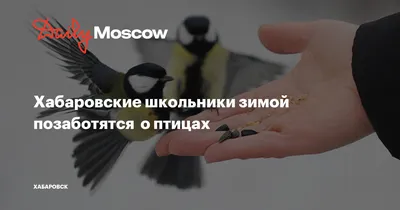 Орнитолог-самоучка спасает птиц в Хабаровском крае | 04.10.2022 | Хабаровск  - БезФормата
