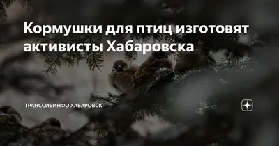 Краснокнижную цаплю не могут спасти в Хабаровске - Хабаровск: Общество