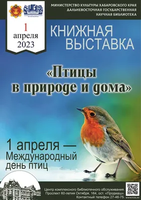 Птицы России. Забайкалье