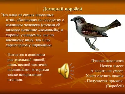 В нацпарке Приморья спасли \"долларовую птицу\" - Российская газета