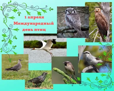 Животные Югры — Ханты-Мансийского автономного округа