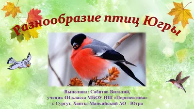 1 апреля – Международный день птиц! | 01.04.2022 | Ханты-Мансийск -  БезФормата