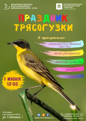 В ХМАО сезон охоты на птиц откроется через три недели — Сетевое издание  Вестник - Новости Сургутского района и Югры