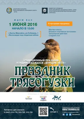 Три вида птиц ХМАО рискуют стать краснокнижными — Сетевое издание Вестник -  Новости Сургутского района и Югры