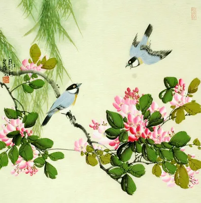 Журнал «КИТАЙ»-Перелетные птицы прибывают на зимовку в заповедник Цаохай
