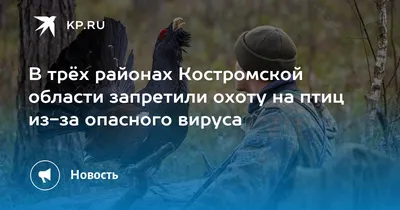 Музей природы Костромской области - Музеи и галереи города Костромы