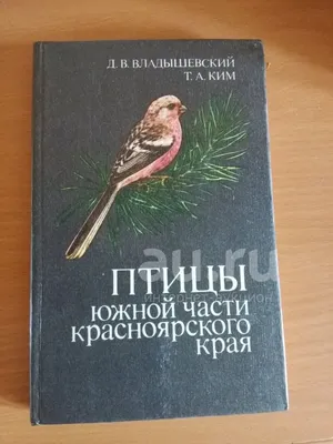 На юге Красноярского края сфотографировали самую маленькую птицу в России