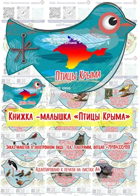 Птицы Крыма: зарянка