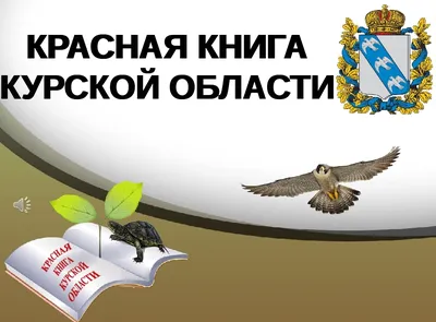 Белая птица» вошла в «Куриное царство» – Коммерсантъ Воронеж