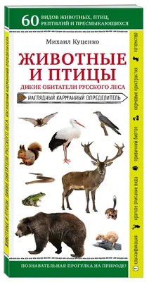 Комплект плакатов \"Дикие и домашние животные и птицы\" (4 плаката \"Животные  леса\", \"Птицы леса\", \"Домашние животные\", \"Домашние птицы\" с методическим  сопровождением): Формат А3 – купить по цене: 201,60 руб. в  интернет-магазине УчМаг