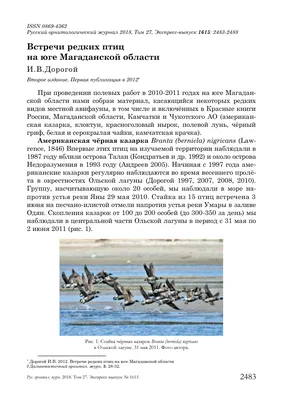 Почему не прилетели гнездиться краснокнижные орланы близ реки Ола на Колыме  | Магаданская Правда