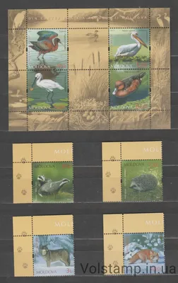 10 декоративных птиц на продажу в Молдове: обзор объявлений