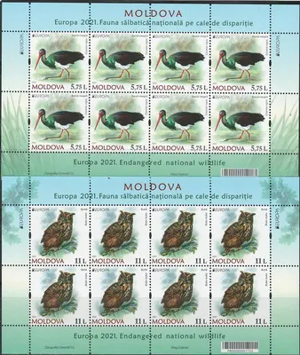 Купить 2011 Молдова Серия марок + блок (Красная книга Молдовы - Фауна, птицы)  MNH №759-762 + БЛ56