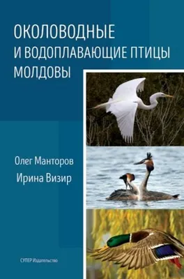 Молдаване отказываются от разведения домашней птицы - невыгодно