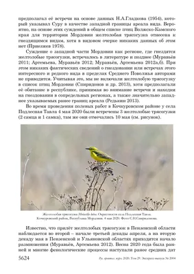На территории «Заповедной Мордовии» сосчитали «краснокнижных» птиц