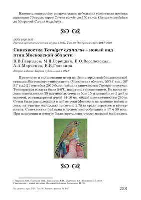 Инфощиты о редких видах птиц и животных появились в Сергиево-Посадском  районе