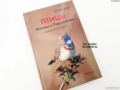 rgdb.ru - Эколекция «Зимующие птицы Москвы»