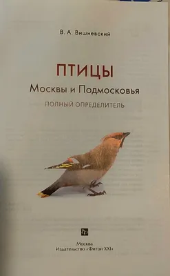 Мосприрода составила календарь отлета птиц Москвы - Российская газета